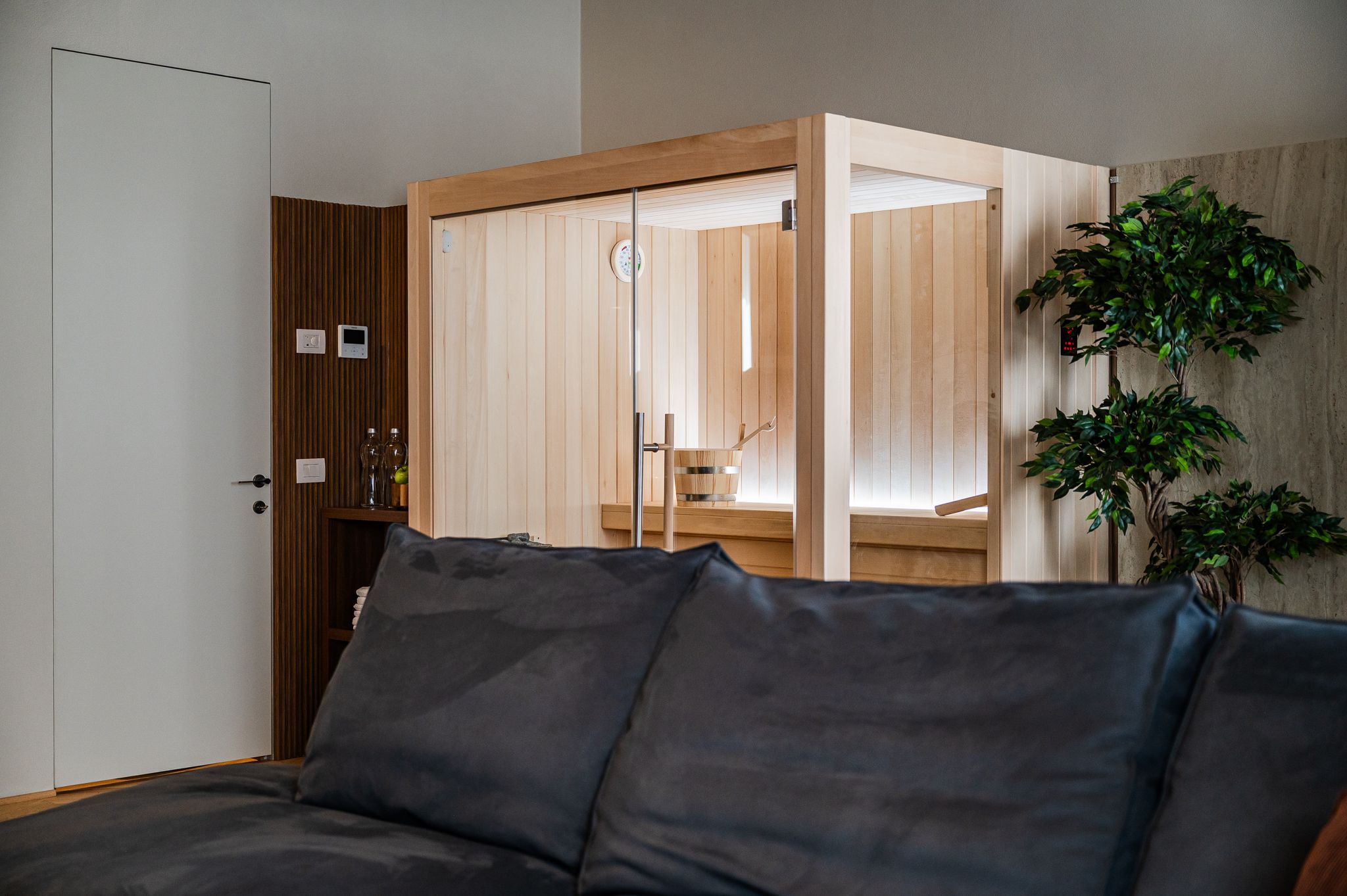 Cabina sauna vista dal divano del living, tra piante e travi a vista